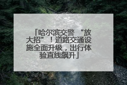 哈尔滨交警 “放大招”！道路交通设施全面升级，出行体验直线飙升