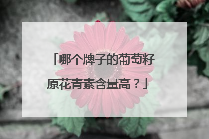 哪个牌子的葡萄籽原花青素含量高？