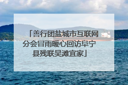 善行团盐城市互联网分会冒雨暖心回访阜宁县残联吴滩宜家