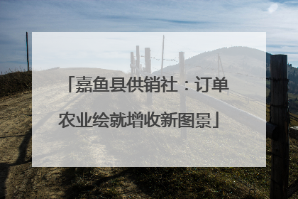 嘉鱼县供销社：订单农业绘就增收新图景