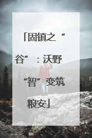固镇之“谷”：沃野“智”变筑粮安