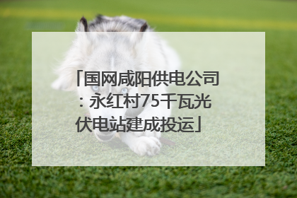国网咸阳供电公司：永红村75千瓦光伏电站建成投运