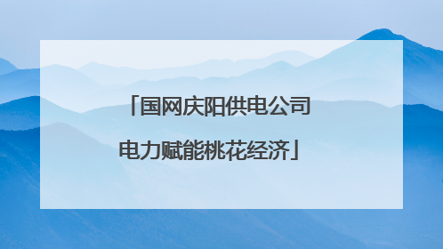 国网庆阳供电公司电力赋能桃花经济