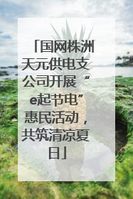 国网株洲天元供电支公司开展“e起节电”惠民活动，共筑清凉夏日