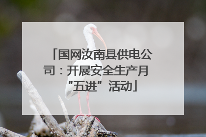 国网汝南县供电公司：开展安全生产月“五进”活动
