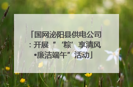 国网泌阳县供电公司：开展“‘粽’享清风 •廉洁端午”活动