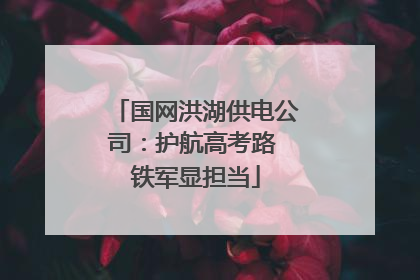 国网洪湖供电公司：护航高考路 铁军显担当