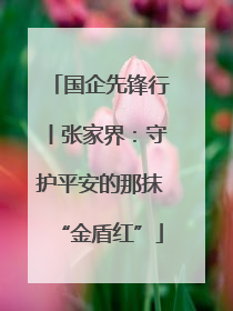 国企先锋行丨张家界：守护平安的那抹“金盾红”
