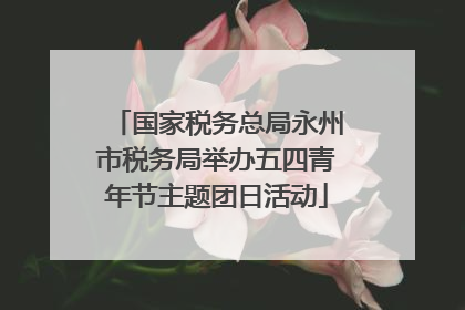 国家税务总局永州市税务局举办五四青年节主题团日活动