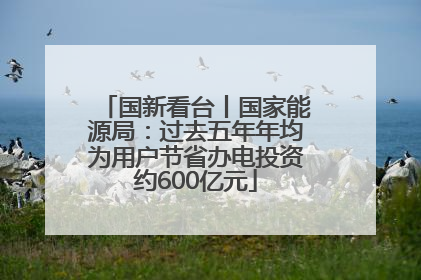 国新看台丨国家能源局：过去五年年均为用户节省办电投资约600亿元