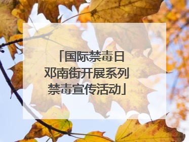 国际禁毒日 邓南街开展系列禁毒宣传活动