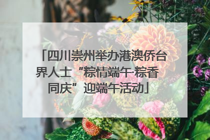 四川崇州举办港澳侨台界人士“粽情端午·粽香同庆”迎端午活动