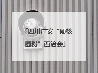 四川广安“硬核圈粉”西洽会