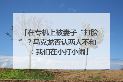 在专机上被妻子“打脸”？马克龙否认两人不和：我们在小打小闹