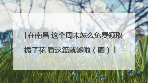 在南昌 这个周末怎么免费领取栀子花 看这篇就够啦（图）