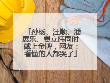 孙杨、汪顺、潘展乐、费立纬同时戴上金牌，网友：看懂的人都哭了