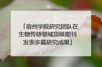 宿州学院研究团队在生物传感领域顶级期刊发表多篇研究成果