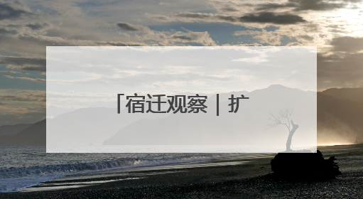 宿迁观察｜扩大高水平对外开放步履铿锵