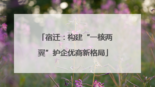 宿迁：构建“一核两翼”护企优商新格局