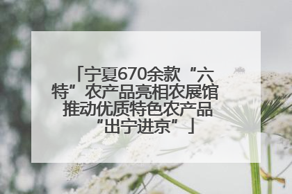 宁夏670余款“六特”农产品亮相农展馆 推动优质特色农产品“出宁进京”