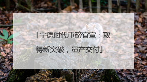 宁德时代重磅官宣：取得新突破，量产交付