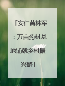 安仁黄林军：万亩药材基地铺就乡村振兴路