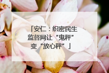 安仁：织密民生监督网让“鬼秤”变“放心秤”