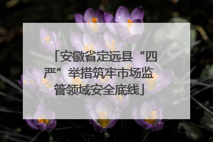 安徽省定远县“四严”举措筑牢市场监管领域安全底线