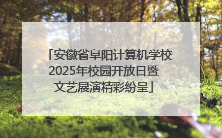 安徽省阜阳计算机学校2025年校园开放日暨文艺展演精彩纷呈