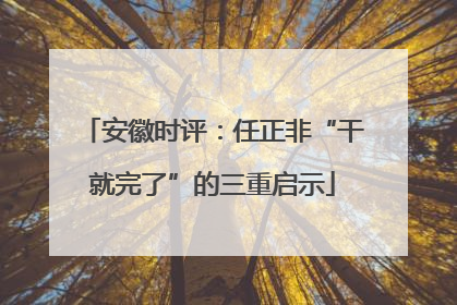 安徽时评：任正非“干就完了”的三重启示