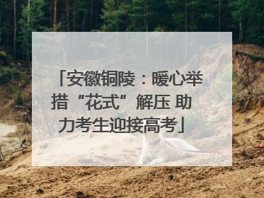 安徽铜陵：暖心举措“花式”解压 助力考生迎接高考