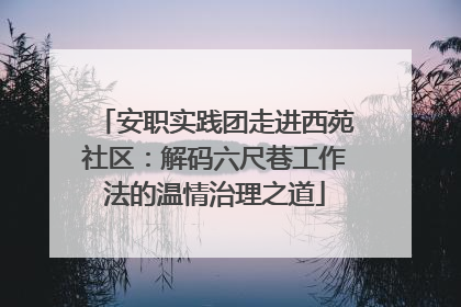 安职实践团走进西苑社区：解码六尺巷工作法的温情治理之道