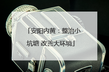 安阳内黄：整治小坑塘 改善大环境
