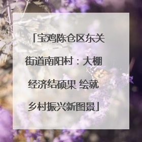 宝鸡陈仓区东关街道南阳村：大棚经济结硕果 绘就乡村振兴新图景