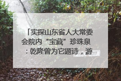 实探山东省人大常委会院内“宝藏”珍珠泉：乾隆曾为它题诗，游客无需预约免费游览