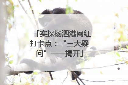实探杨泗港网红打卡点：“三大疑问”一一揭开