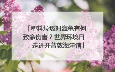 塑料垃圾对海龟有何致命伤害？世界环境日，走进开普敦海洋馆