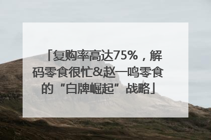 复购率高达75%，解码零食很忙&赵一鸣零食的“白牌崛起”战略