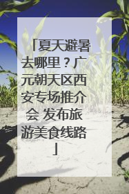 夏天避暑去哪里？广元朝天区西安专场推介会 发布旅游美食线路