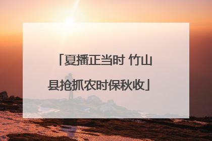 夏播正当时 竹山县抢抓农时保秋收
