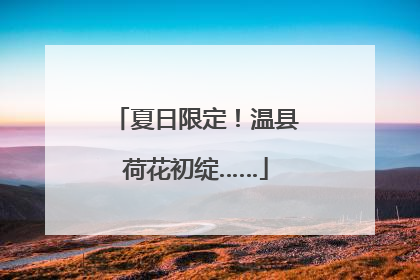 夏日限定！温县荷花初绽……