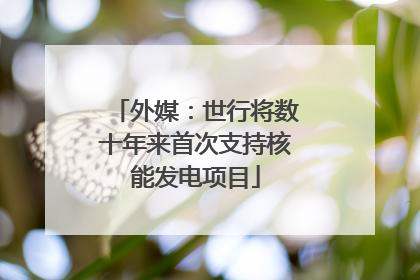 外媒：世行将数十年来首次支持核能发电项目
