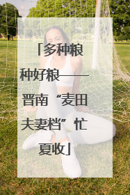 多种粮 种好粮——晋南“麦田夫妻档”忙夏收