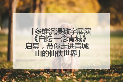 多维沉浸数字展演《白蛇·一念青城》启幕，带你走进青城山的仙侠世界