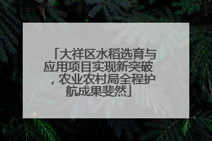大祥区水稻选育与应用项目实现新突破，农业农村局全程护航成果斐然