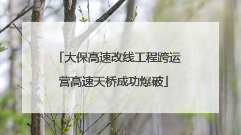 大保高速改线工程跨运营高速天桥成功爆破