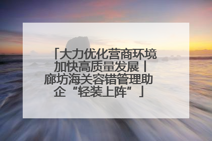 大力优化营商环境 加快高质量发展丨廊坊海关容错管理助企“轻装上阵”