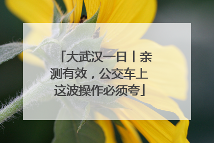 大武汉一日丨亲测有效，公交车上这波操作必须夸