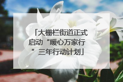 大栅栏街道正式启动“暖心万家行”三年行动计划