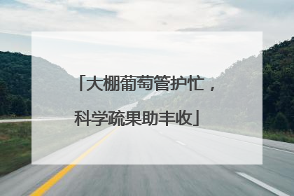 大棚葡萄管护忙，科学疏果助丰收